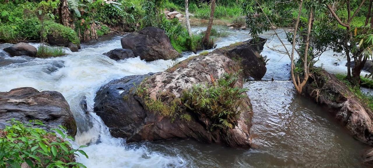 Linn View Home Stay Munnar Rom bilde