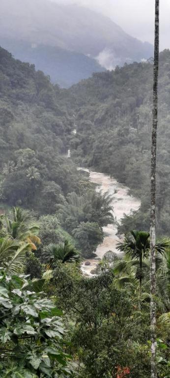 Linn View Home Stay Munnar Eksteriør bilde