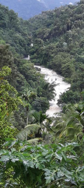 Linn View Home Stay Munnar Eksteriør bilde